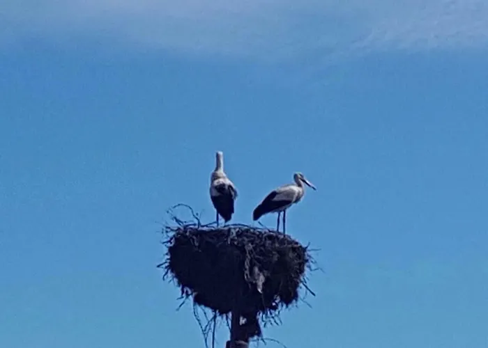 Вилла Pri Shtarkela Brodilovo